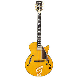Avis Excel SS Soho Amber D'Angelico