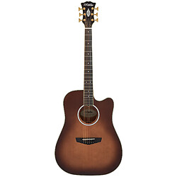 Avis Excel Bowery Autumn Burst D'Angelico