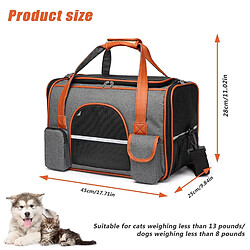Equipement de transport pour chat