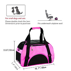 Equipement de transport pour chat