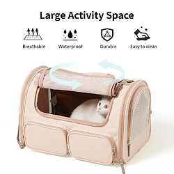 Equipement de transport pour chat