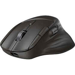 Souris
