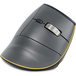 Acheter BakkerElkhuizen FastForward Souris ergonomique verticale pour droitier