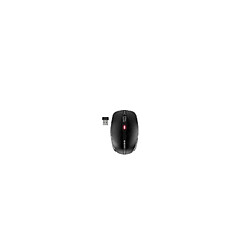 Souris