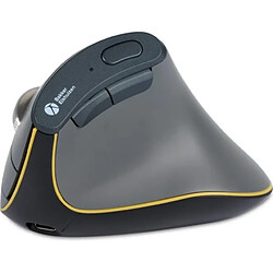 Avis BakkerElkhuizen FastForward Souris ergonomique verticale pour droitier
