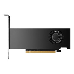 Avis PNY NVIDIA RTX 2000 Ada Generation 16 Go GDDR6