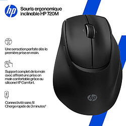 Avis Souris ergonomique HP Tilt 720M - Noir