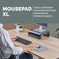 Acheter Fellowes Breyta (Nouveau) XL Bleu marin