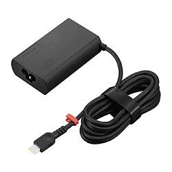 Lenovo 4X21R04793 adaptateur de puissance & onduleur 65 W Noir pas cher