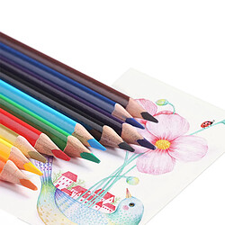 Acheter INF Ensemble de crayons de couleur à l'huile - 48 couleurs vives pour un coloriage artistique
