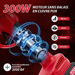 ByteLike Sécateur Électrique sans Fil 21V pas cher