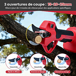 Acheter ByteLike Sécateur Électrique sans Fil 21V