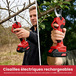 Taille-haies