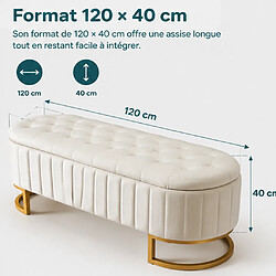 Rolipo Banc coffre velours beige 120 cm avec rangement intégré, assise rembourrée pour chambre salon entrée pas cher