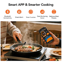 Acheter ByteLike Thermomètre à viande sans fil Bluetooth 4 sondes double capteur avec écran