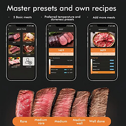 ByteLike Thermomètre à viande sans fil Bluetooth double sonde avec écran pas cher