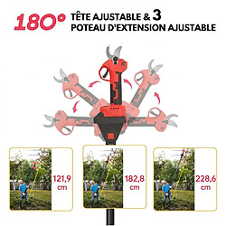 Taille-haies