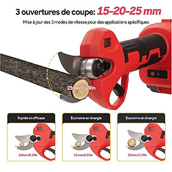 Generic Home Sécateur Électrique sans Fil 21V avec Perche Télescopique 228cm, Moteur Brushless pas cher