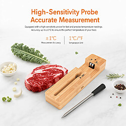 Avis ByteLike Thermomètre à viande sans fil Bluetooth, 1 sonde précise