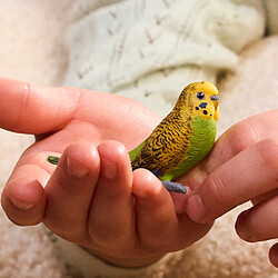 Animaux