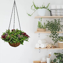 Acheter INF Chaînes de suspension pour pots de fleurs - Lot de 6, fer noir 1,2mm à double crochet, 40c