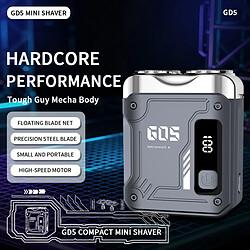 INF Rasoir électrique pour hommes - Rechargeable Type-C, tête détachable lavable, lames inox, pas cher
