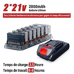 Avis Generic Home Kit Jardinage 4-en-1 sans Fil 21V : Tronçonneuse + Sécateur Télescopique 240cm