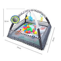 Avis Milly Mally Tapis éducatif 2-en-1 TinyMini Parc avec balles
