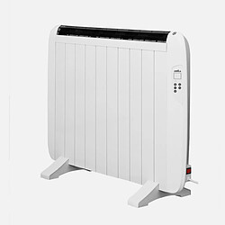 Radiateur à inertie