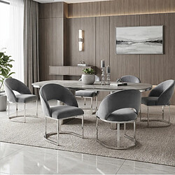 Avis STILVORA Lot de 2 chaises de salle à manger en velours gris et argent