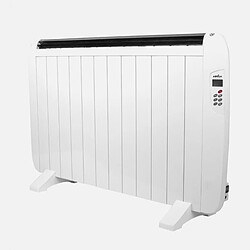 Radiateur à inertie