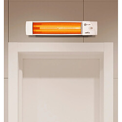 Radiateur à inertie