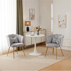 Acheter STILVORA Lot de 2 fauteuils en velours gris, dossier pétale
