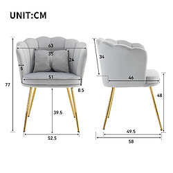 STILVORA Lot de 2 fauteuils en velours gris, dossier pétale pas cher