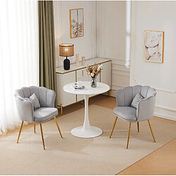 Avis STILVORA Lot de 2 fauteuils en velours gris, dossier pétale