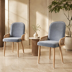 Acheter STILVORA Lot de 2 chaises de salle à manger en velours gris, design rotin