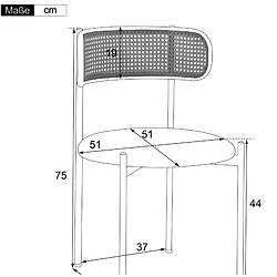 STILVORA Lot de 2 chaises de salle à manger en velours noir et rotin pas cher