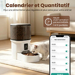 Gamelle pour chien