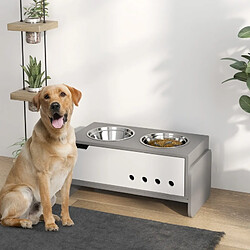Gamelle pour chien