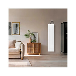 Radiateur à inertie