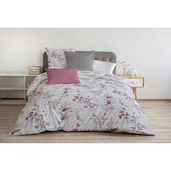 Avis Home linge passion Pompadour - 240 x 220