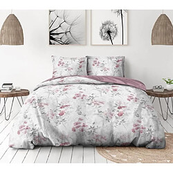 Acheter Home linge passion Pompadour - 240 x 220