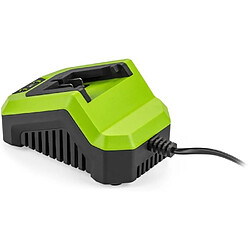 Fieldmann Chargeur de batterie 20V pas cher