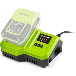 Acheter Fieldmann chargeur de batterie 20V