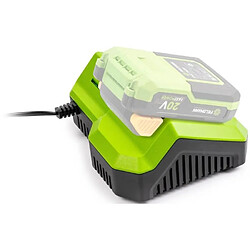Fieldmann chargeur de batterie 20V pas cher