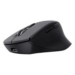 Souris