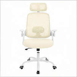 Avis HOMAIRE Chaise de bureau naturel en métal et tissu maillé et polypropylène de 47 × 47 × 117.5 cm