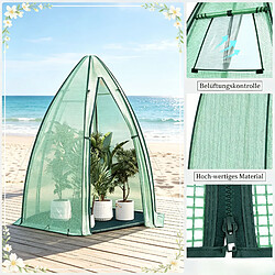 Acheter HOMAIRE Serre vert en polyéthylène et acier de 160 × 160 × 180 cm