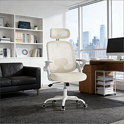 Acheter HOMAIRE Chaise de bureau naturel en métal et tissu maillé et polypropylène de 47 × 47 × 117.5 cm