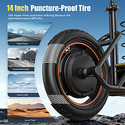 Acheter FREEBOY H14 Trottinette électrique